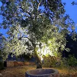 Quinta Do Cerro Sao Vicente *