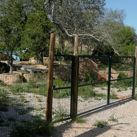 Quinta Do Cerro Sao Vicente 펜션 알부페이라